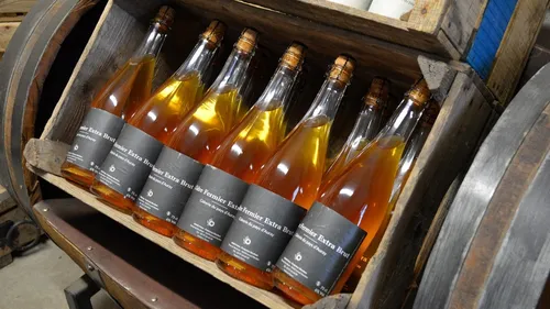 Le renouveau du cidre outre-Atlantique